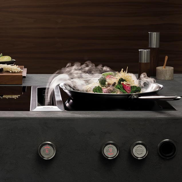 Bora Professional 2 Kochfeldabzug Drehregler Bora Professional 2 Kochfeldabzug Drehregler