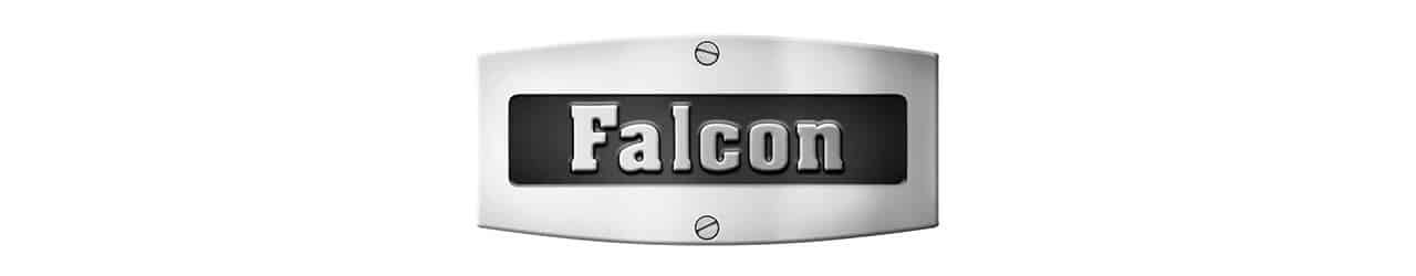 Falcon