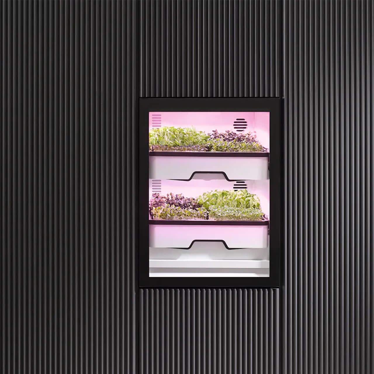 Miele Plantcube 2q