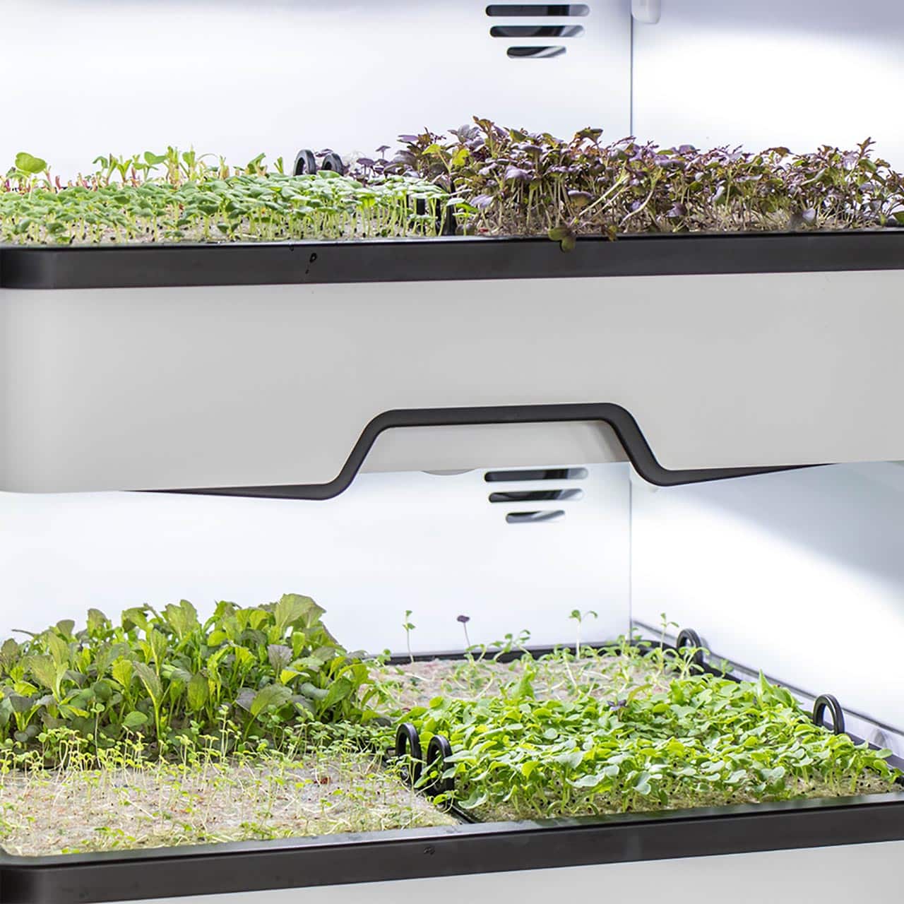 Miele Plantcube 3q