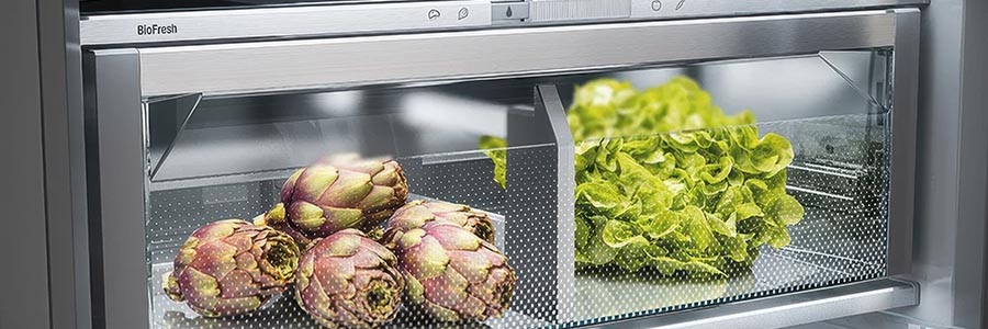 Liebherr Monolith Biofresh 900